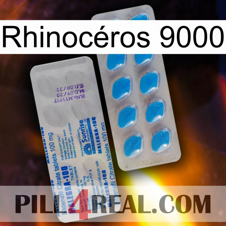 Rhinocéros 9000 new15